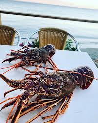 Langouste sur commande